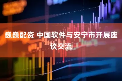 巍巍配资 中国软件与安宁市开展座谈交流
