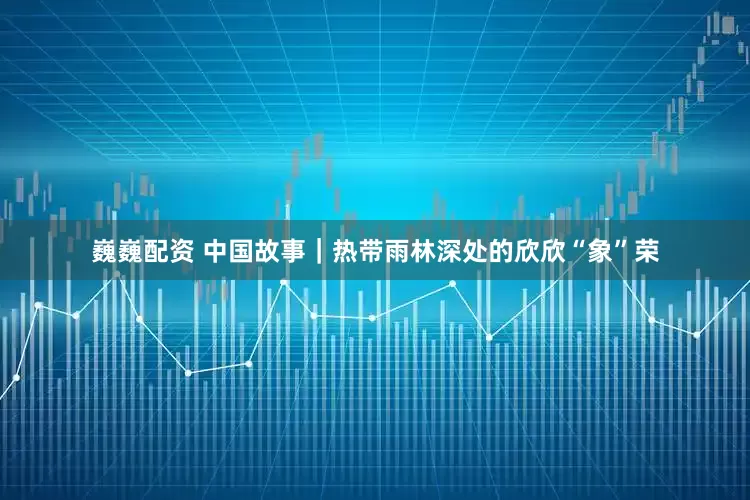 巍巍配资 中国故事｜热带雨林深处的欣欣“象”荣