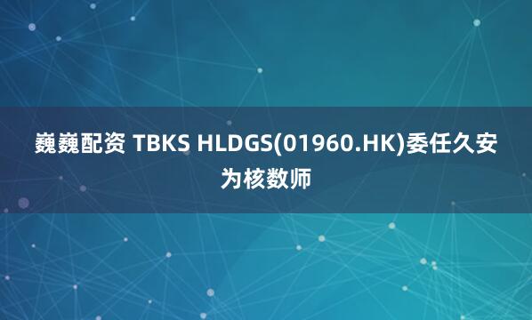 巍巍配资 TBKS HLDGS(01960.HK)委任久安为核数师