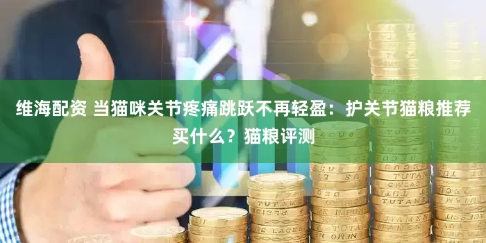 维海配资 当猫咪关节疼痛跳跃不再轻盈：护关节猫粮推荐买什么？猫粮评测